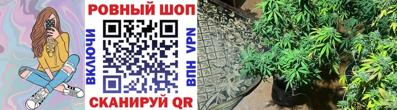 Магазины продажи наркотиков Магадан АМФЕТАМИН  Alpha-PVP  Гашиш  Марихуана 