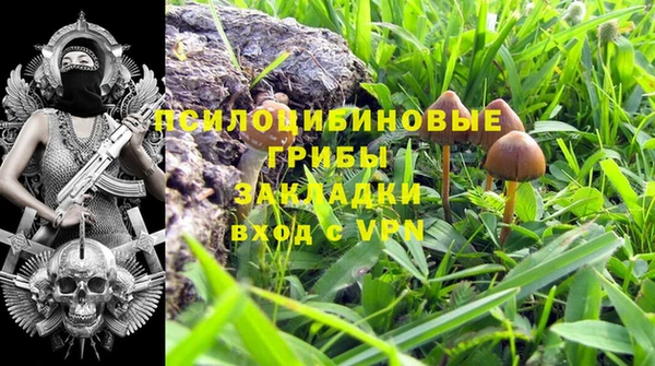 синтетический гашиш Алексин
