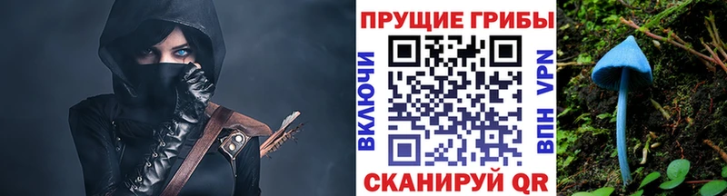 Псилоцибиновые грибы ЛСД продажа наркотиков Магадан