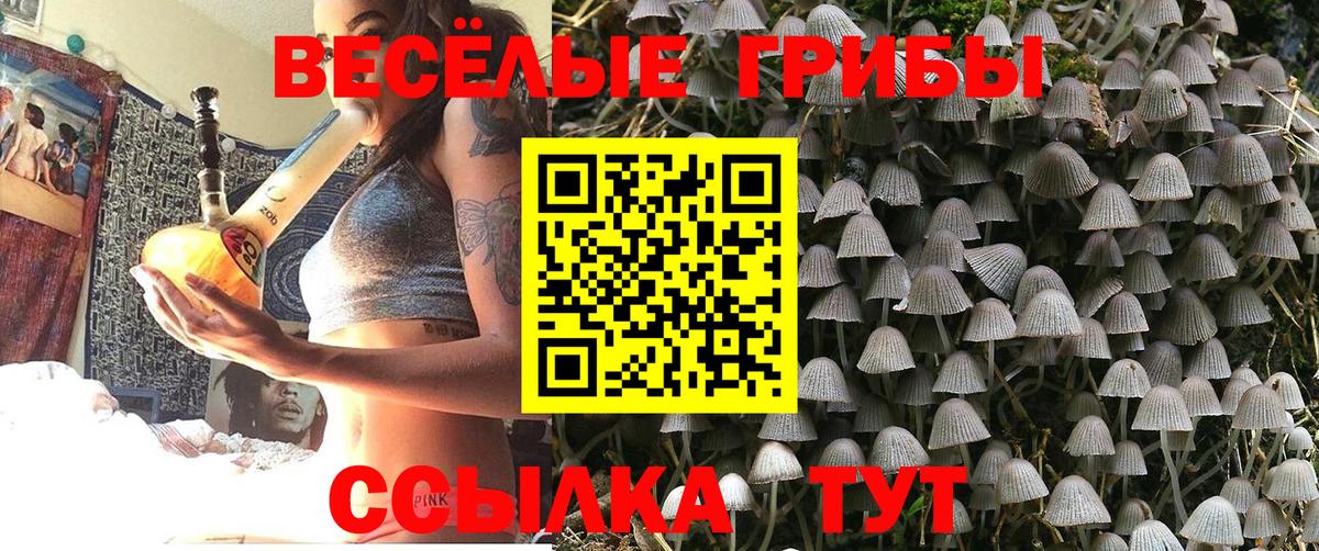 Псилоцибиновые грибы Psilocybine cubensis Магадан